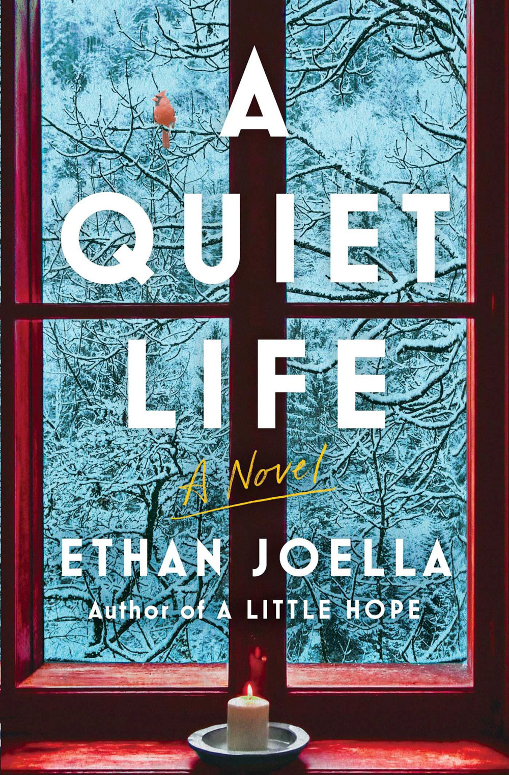 A Quiet Life: A Novel