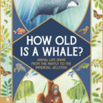 How Old Is a Whale?: Animal Life Spans from the Mayfly to the Immortal Jellyfish