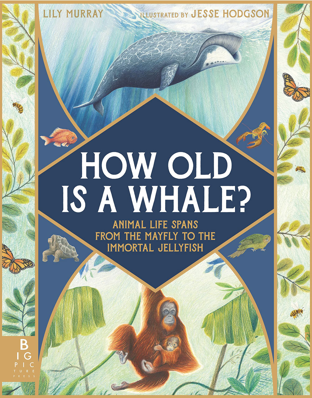 How Old Is a Whale?: Animal Life Spans from the Mayfly to the Immortal Jellyfish